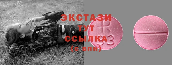 крисы Богородицк