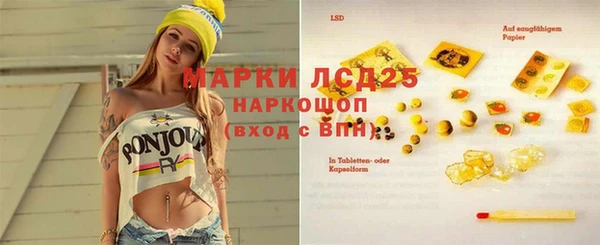 крисы Богородицк
