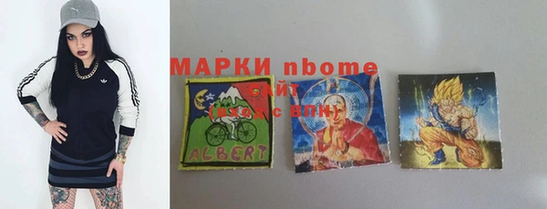 крисы Богородицк