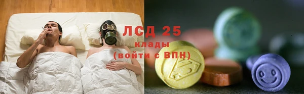 метадон Богданович