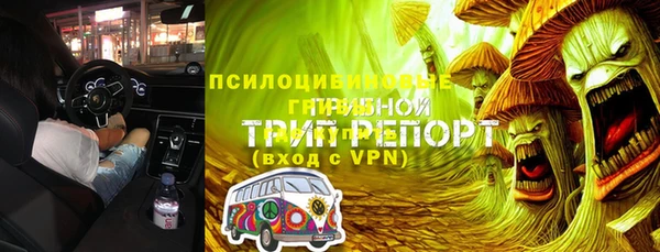 крисы Богородицк