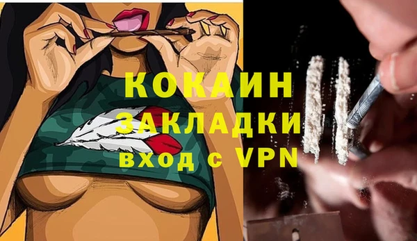 метадон Богданович