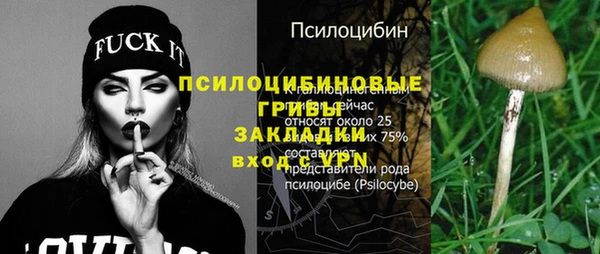 крисы Богородицк
