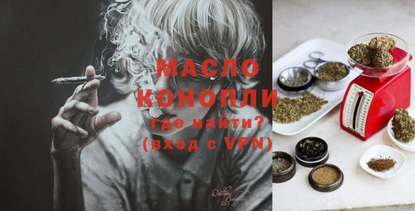 крисы Богородицк