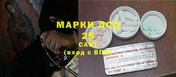 прущие грибы Белоозёрский