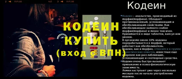 крисы Богородицк