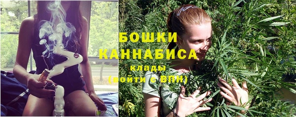 метадон Богданович