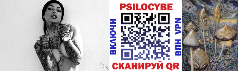 OMG сайт  Красноуфимск  Псилоцибиновые грибы Psilocybine cubensis 